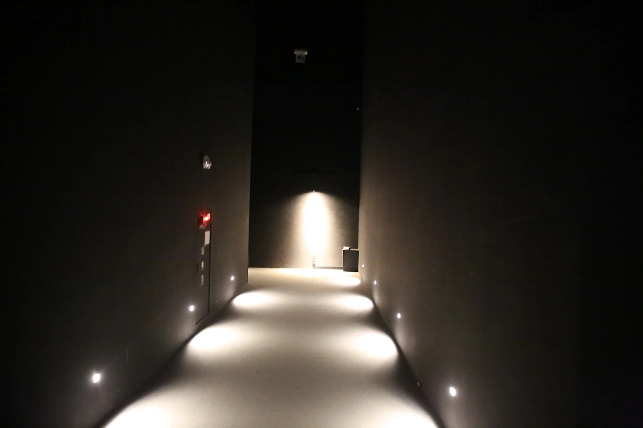 MG0A2081_новый размер.JPG