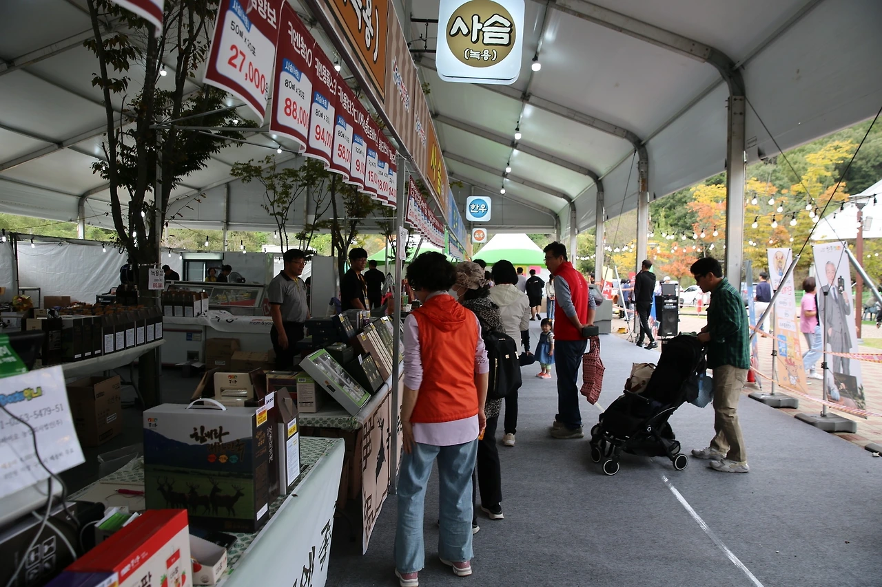 MG0A5481_новый размер.JPG