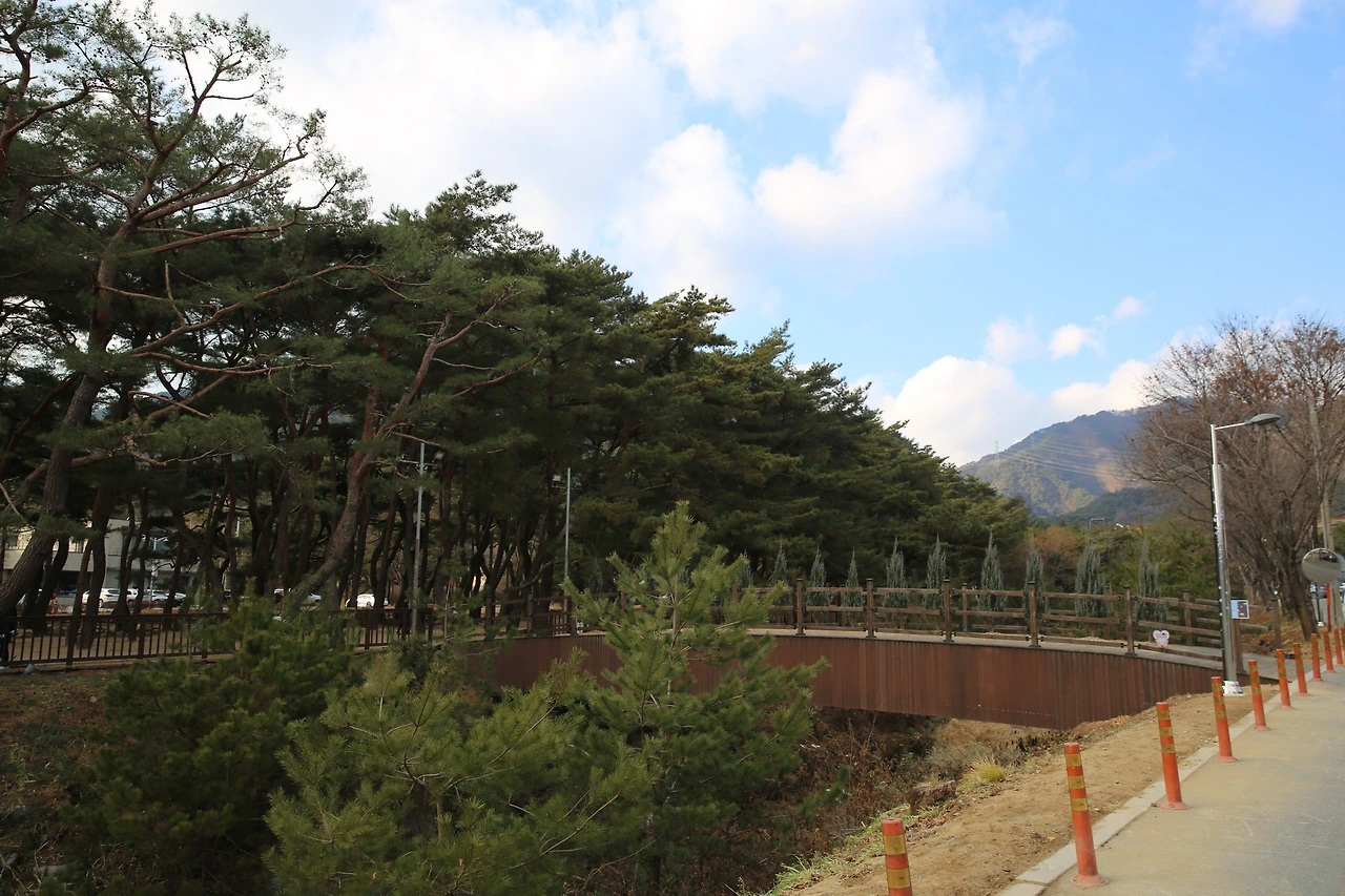 MG0A4979_новый размер.JPG