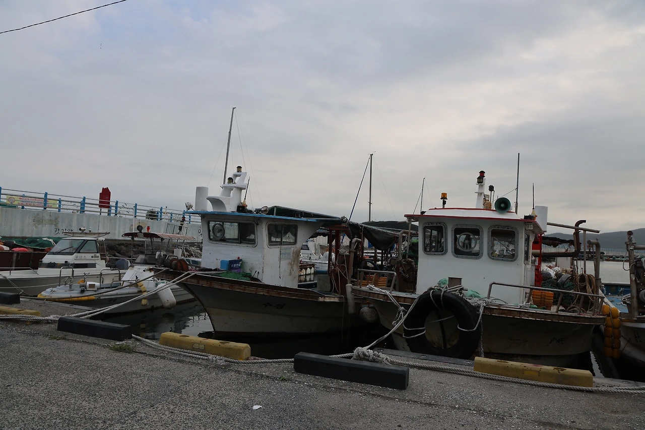 0R5A7754_новый размер.JPG