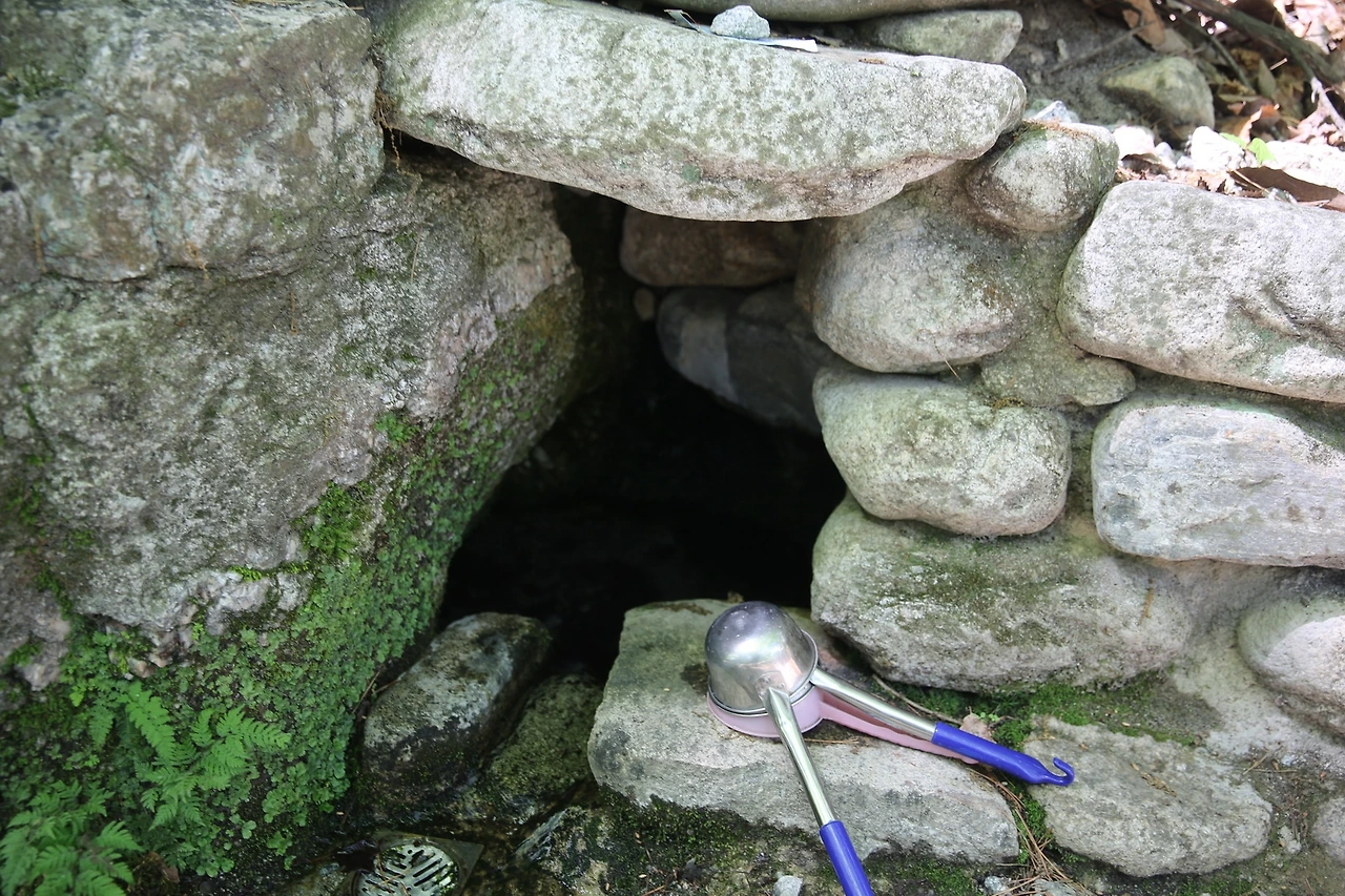 MG0A9376_новый размер.JPG