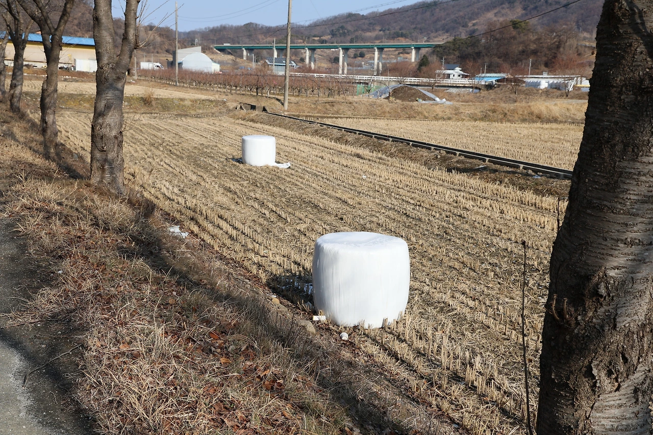 0R5A8054_новый размер.JPG