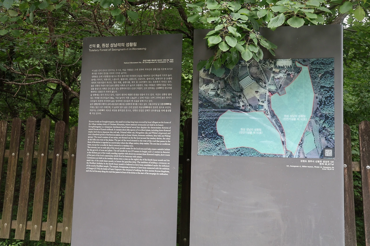 성황림08.JPG