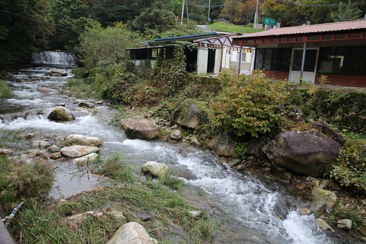 MG0A6290_новый размер.JPG