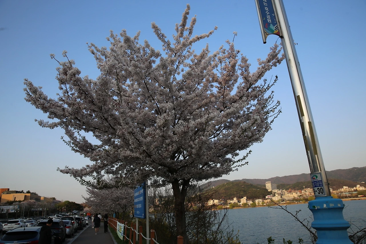 MG0A8901_новый размер.JPG