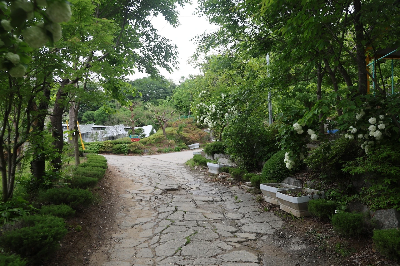 0R5A1303_новый размер.JPG