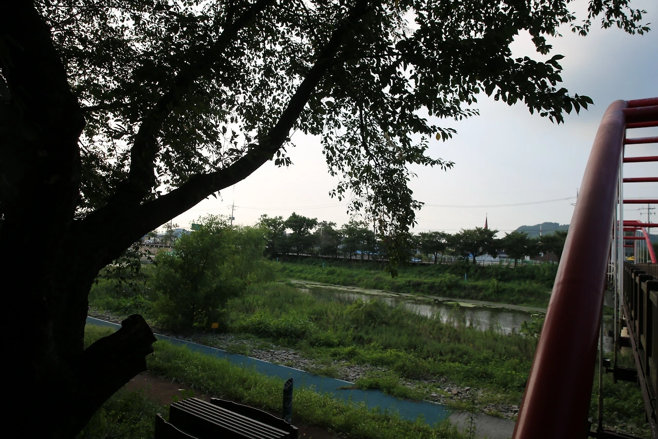 MG0A7163_новый размер.JPG