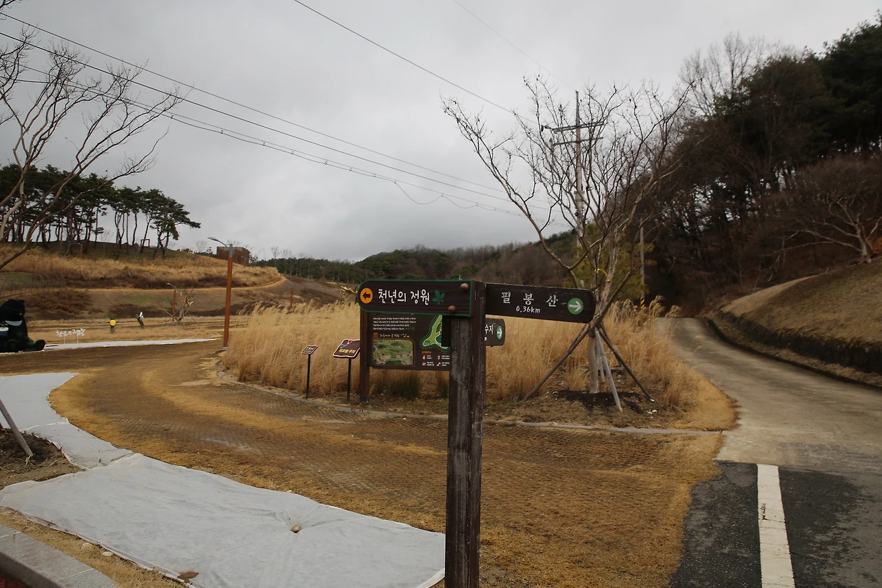 MG0A0410_новый размер.JPG