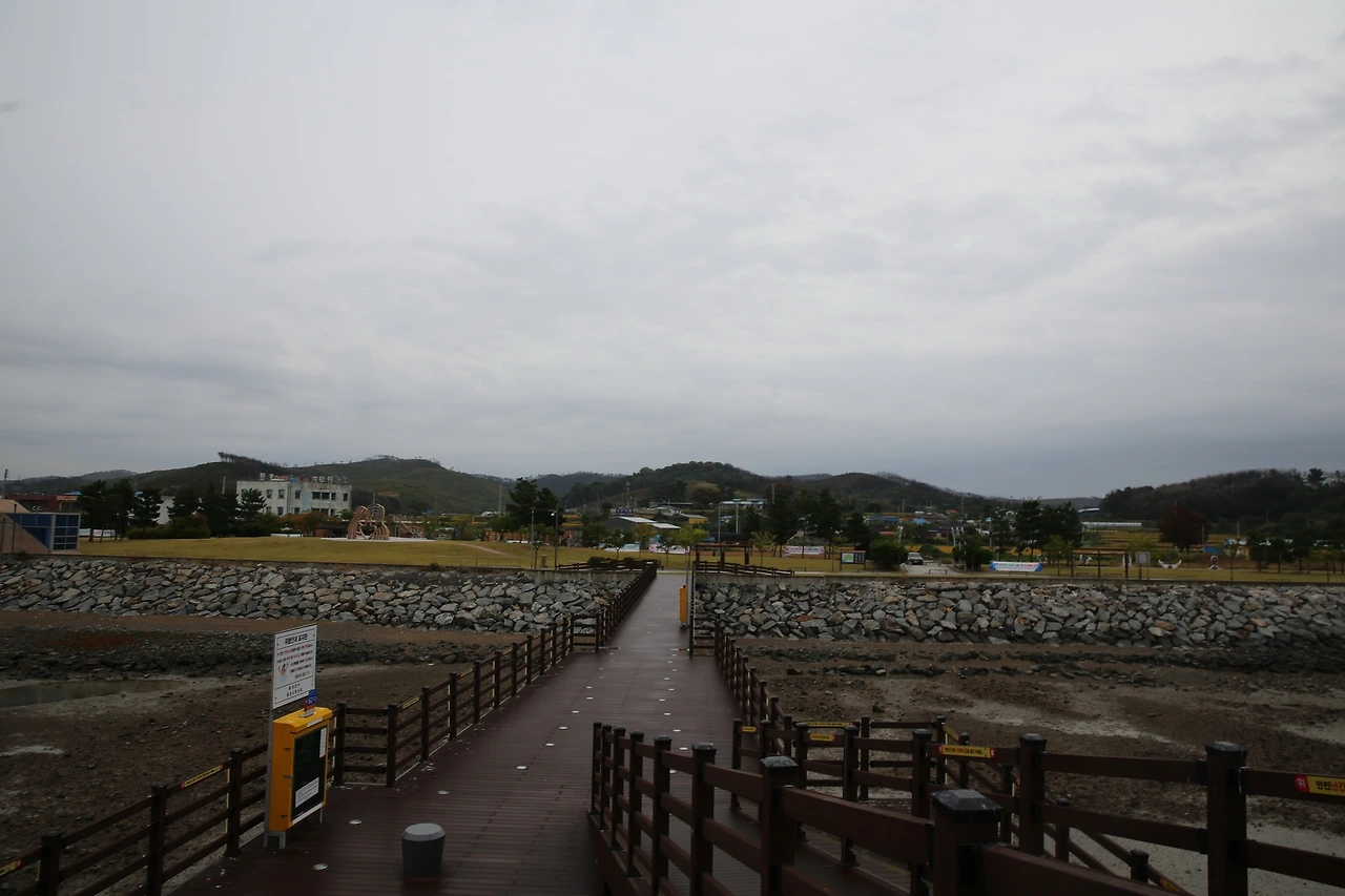 MG0A5091_новый размер.JPG