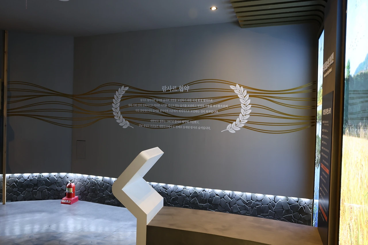 0R5A5286_новый размер.JPG