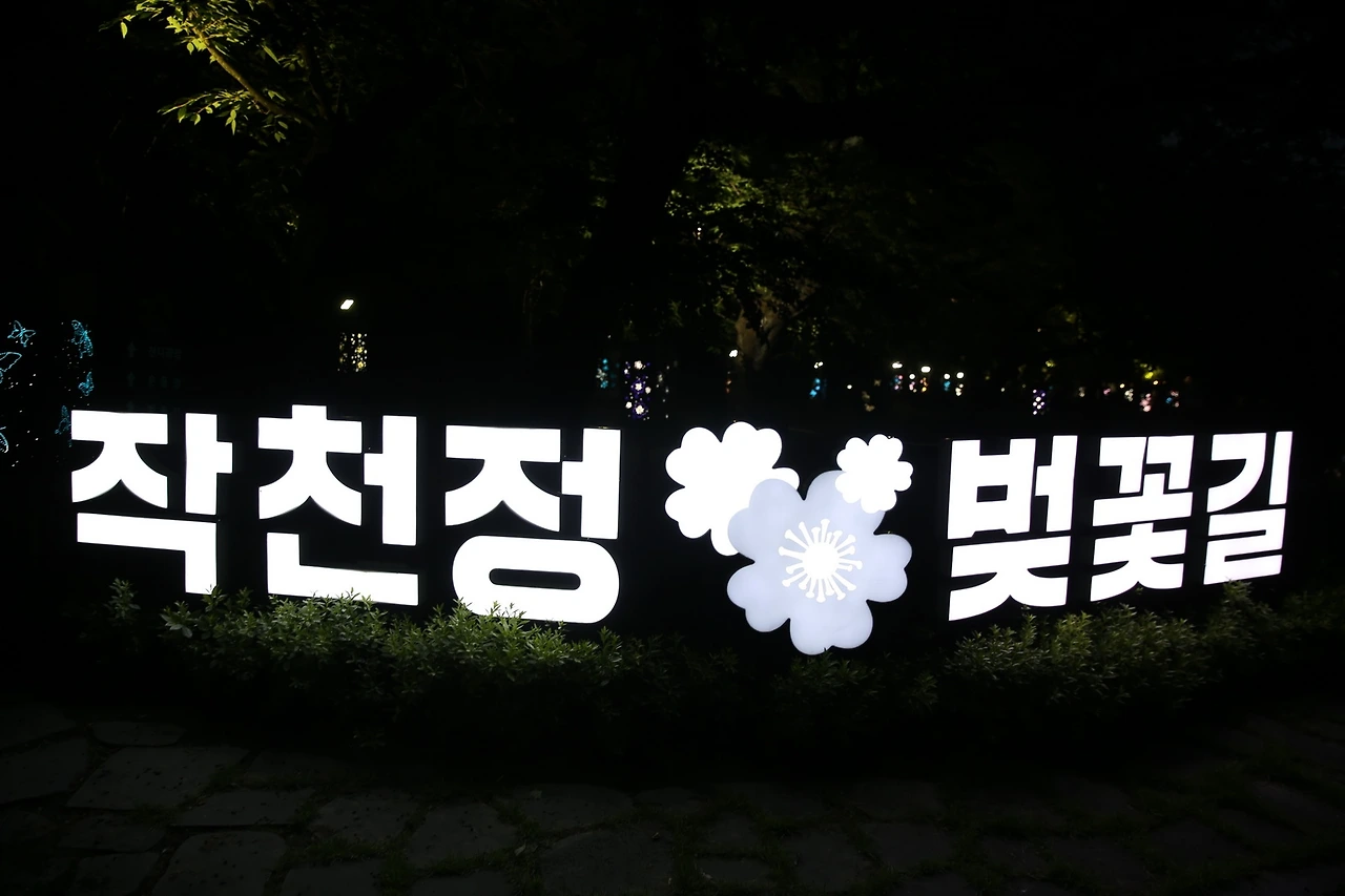 MG0A5604_новый размер.JPG