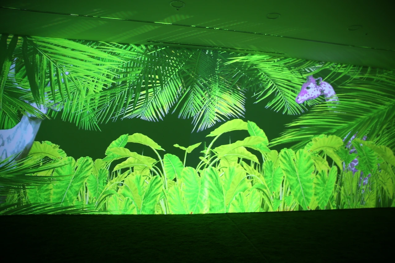 MG0A3582_новый размер.JPG