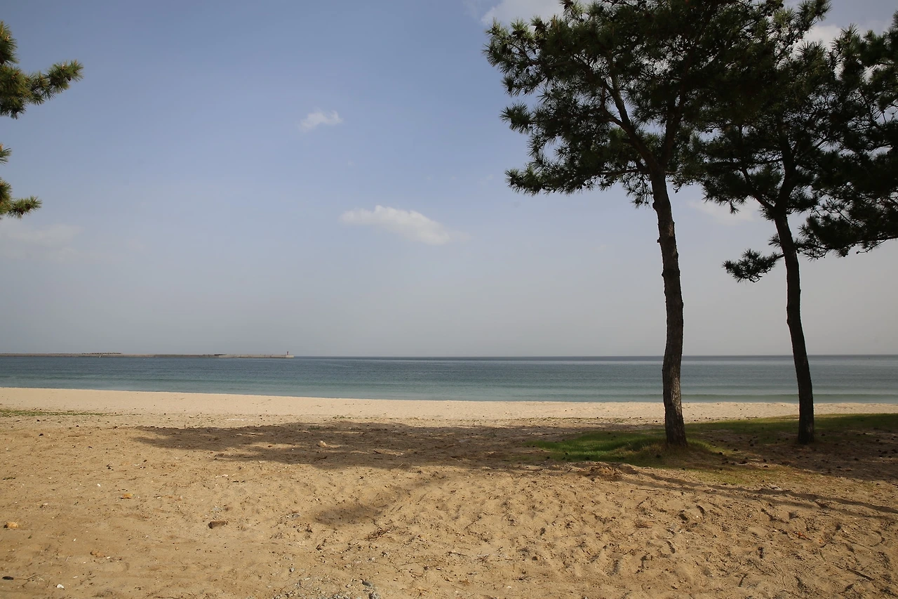 MG0A9942_новый размер.JPG