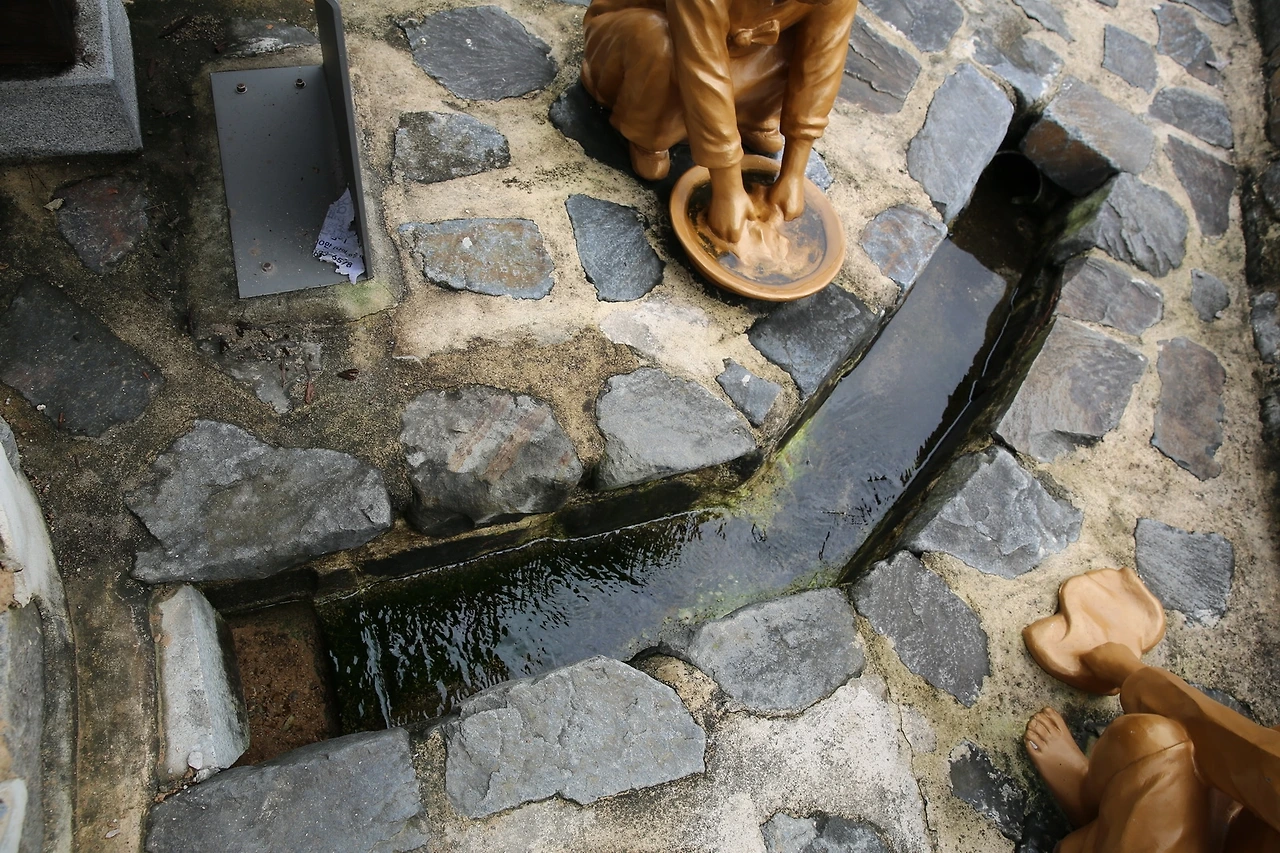 MG0A9816_новый размер.JPG