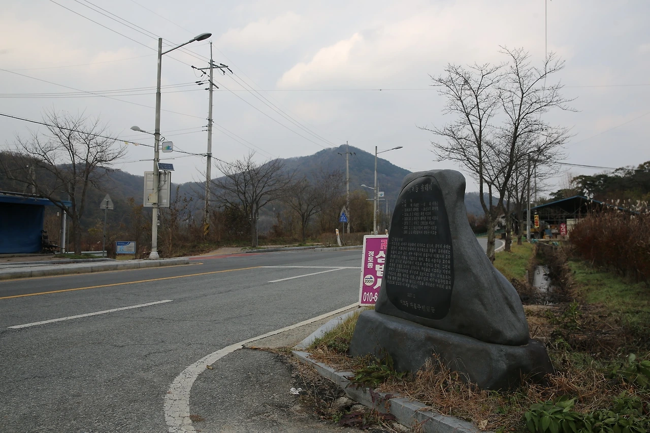 MG0A1236_новый размер.JPG