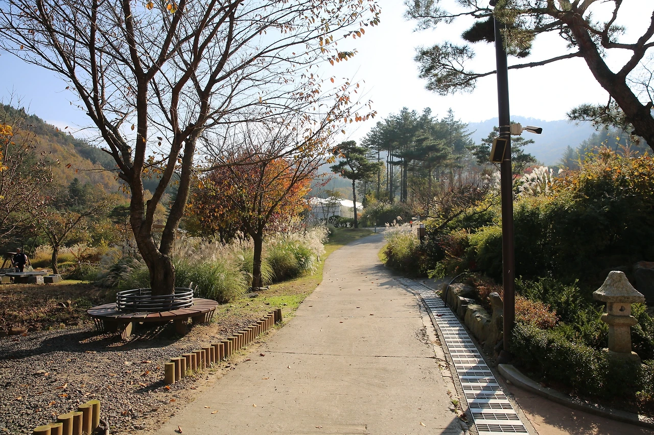 MG0A9340_новый размер.JPG