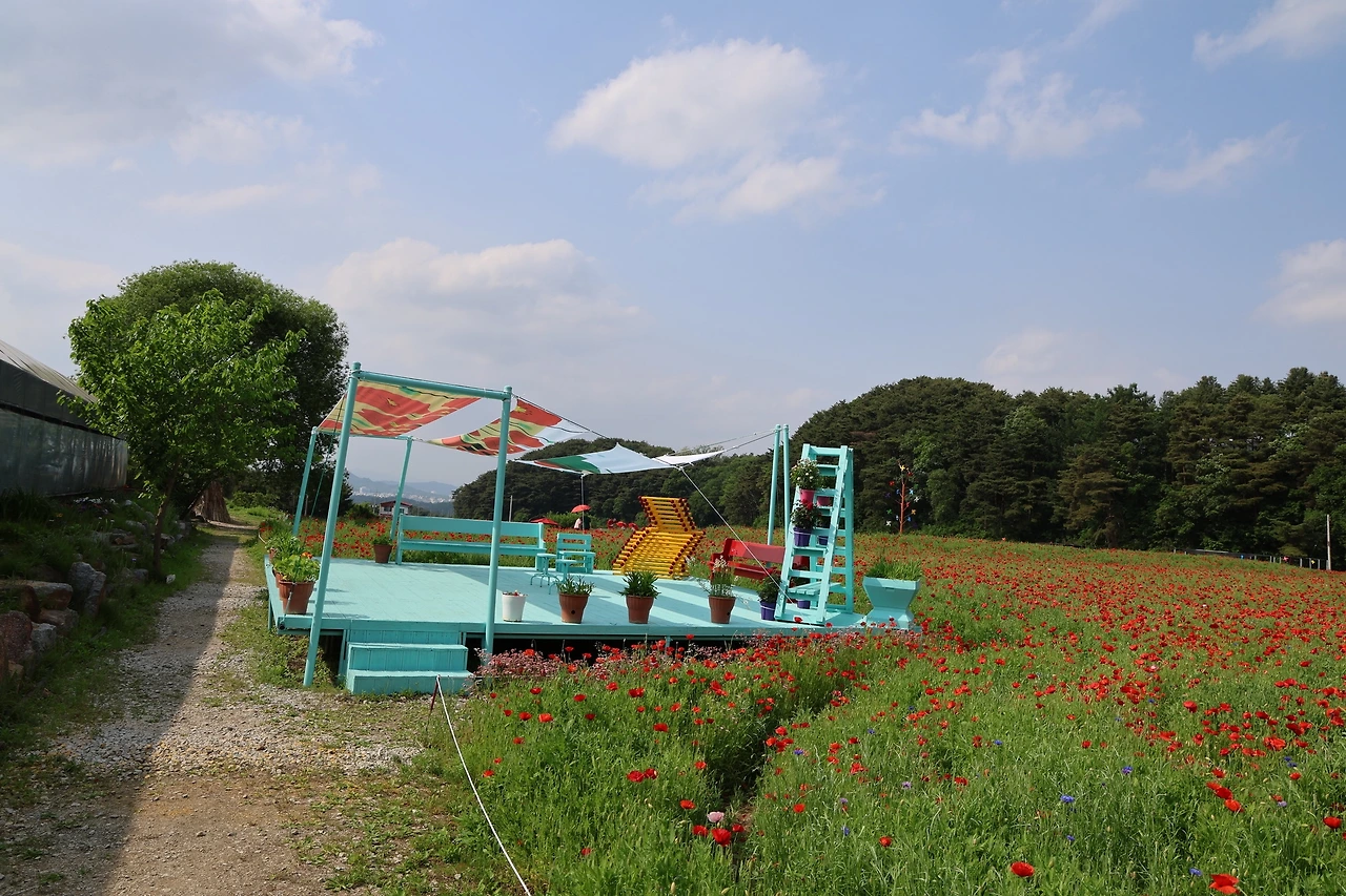 0R5A1525_новый размер.JPG