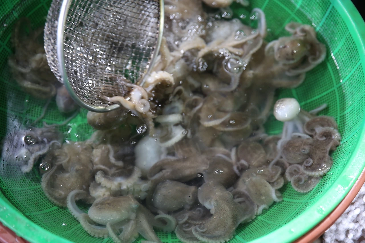 MG0A0921_новый размер.JPG