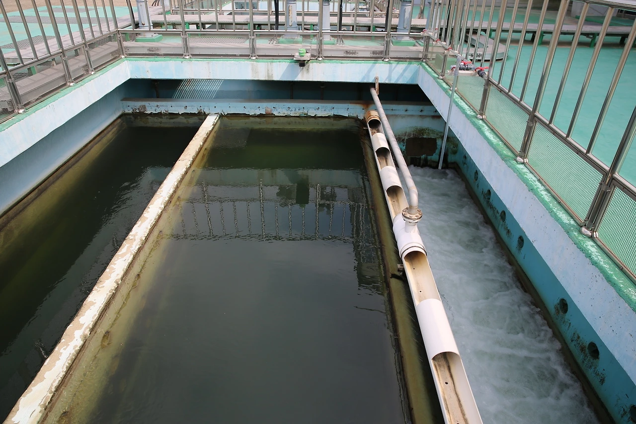 MG0A8066_новый размер.JPG