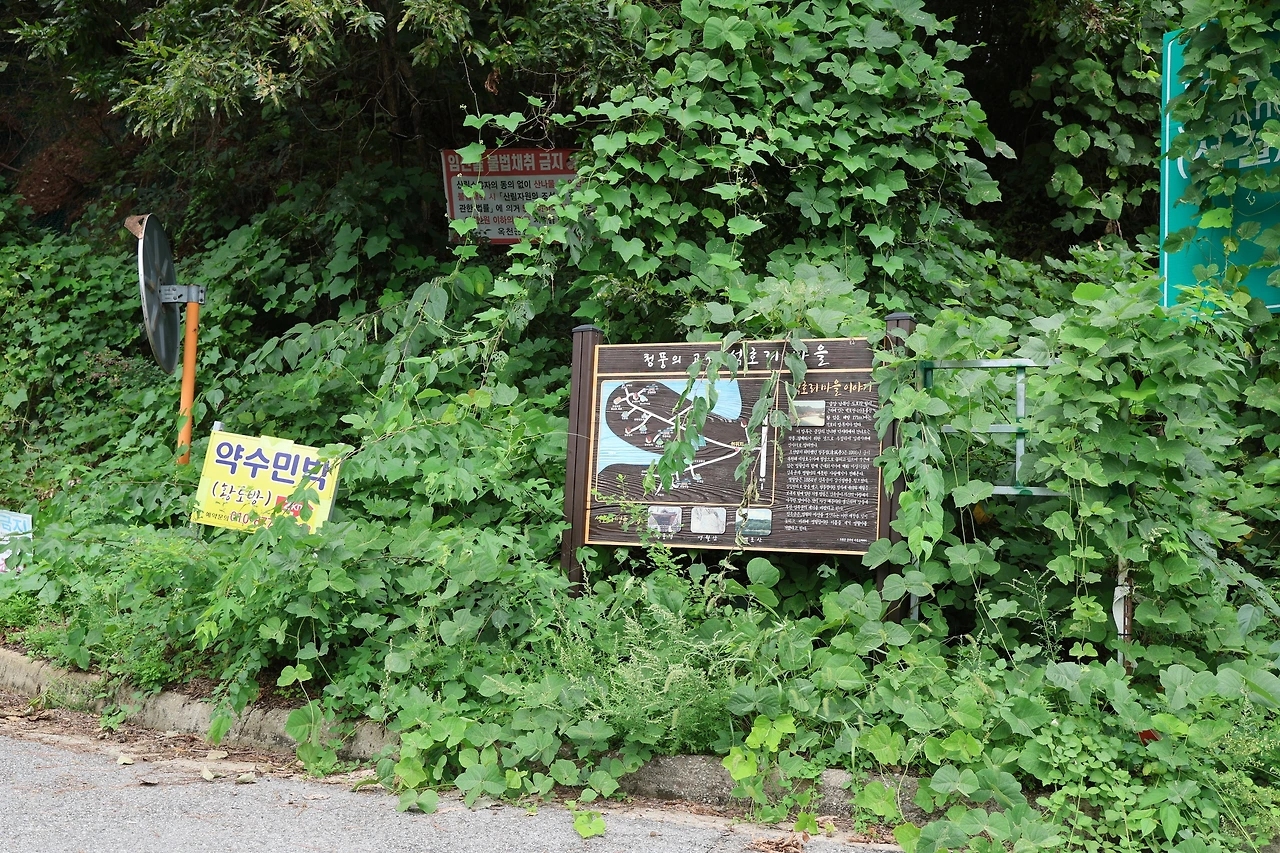 0R5A7589_новый размер.JPG