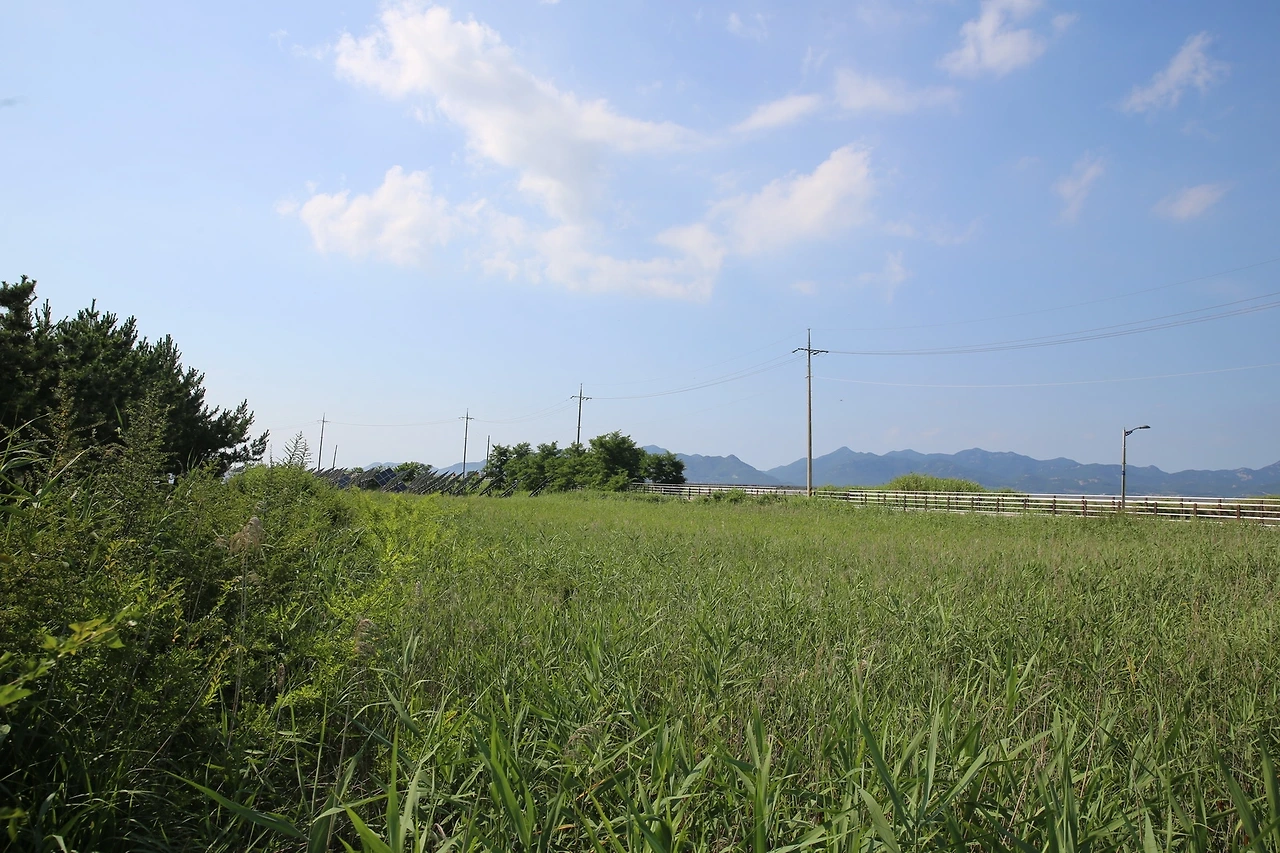 MG0A4605_новый размер.JPG