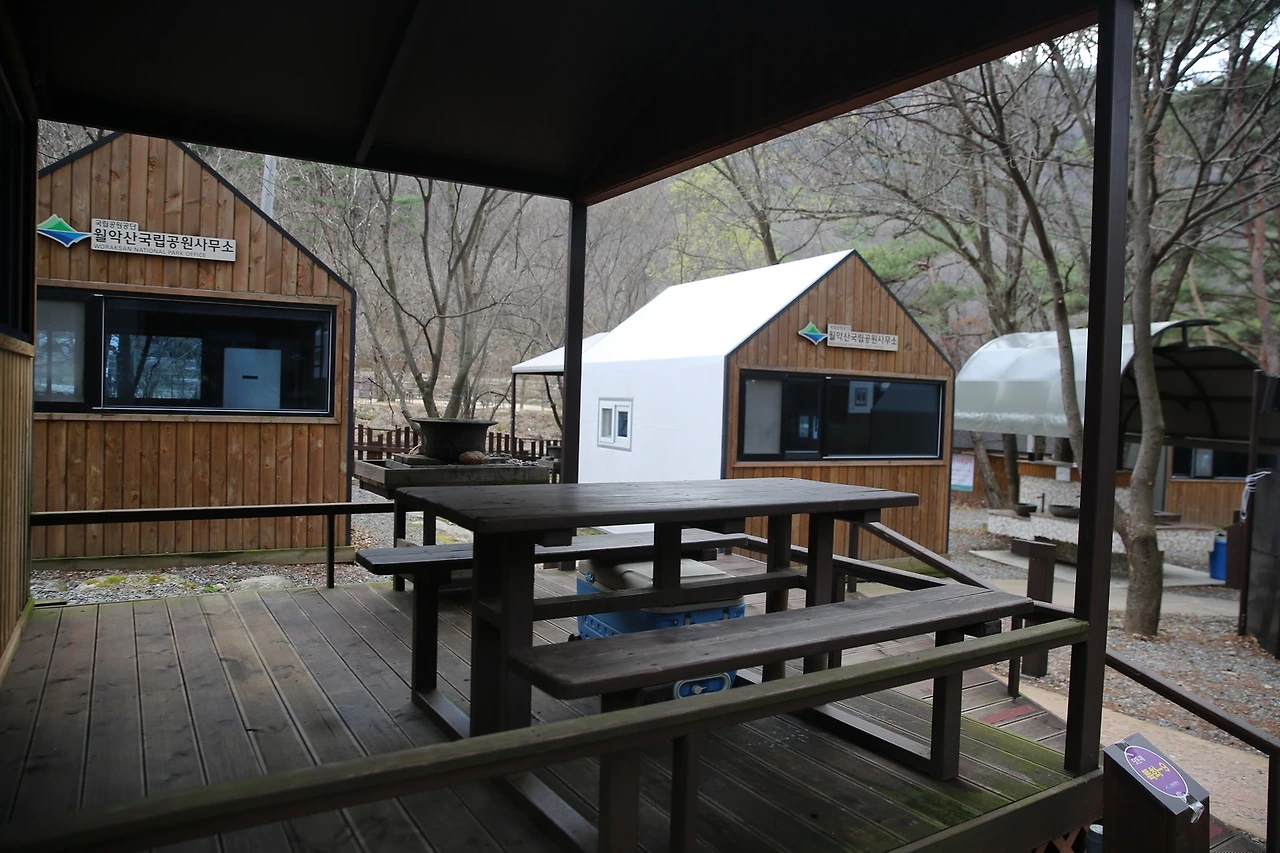 MG0A8408_новый размер.JPG