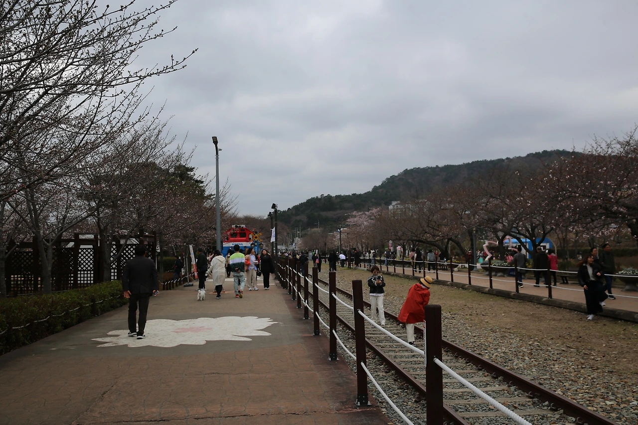 MG0A6232_новый размер.JPG