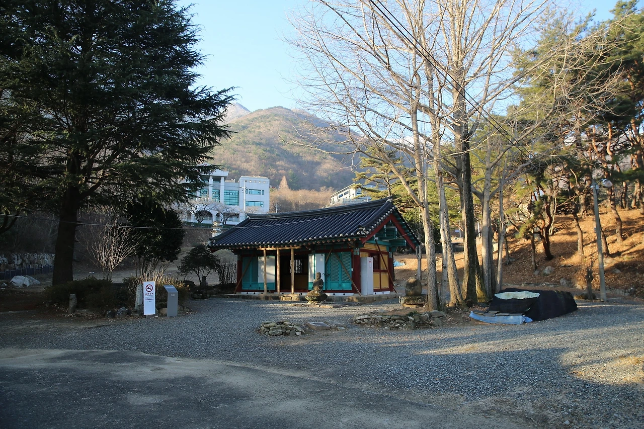 MG0A7588_новый размер.JPG