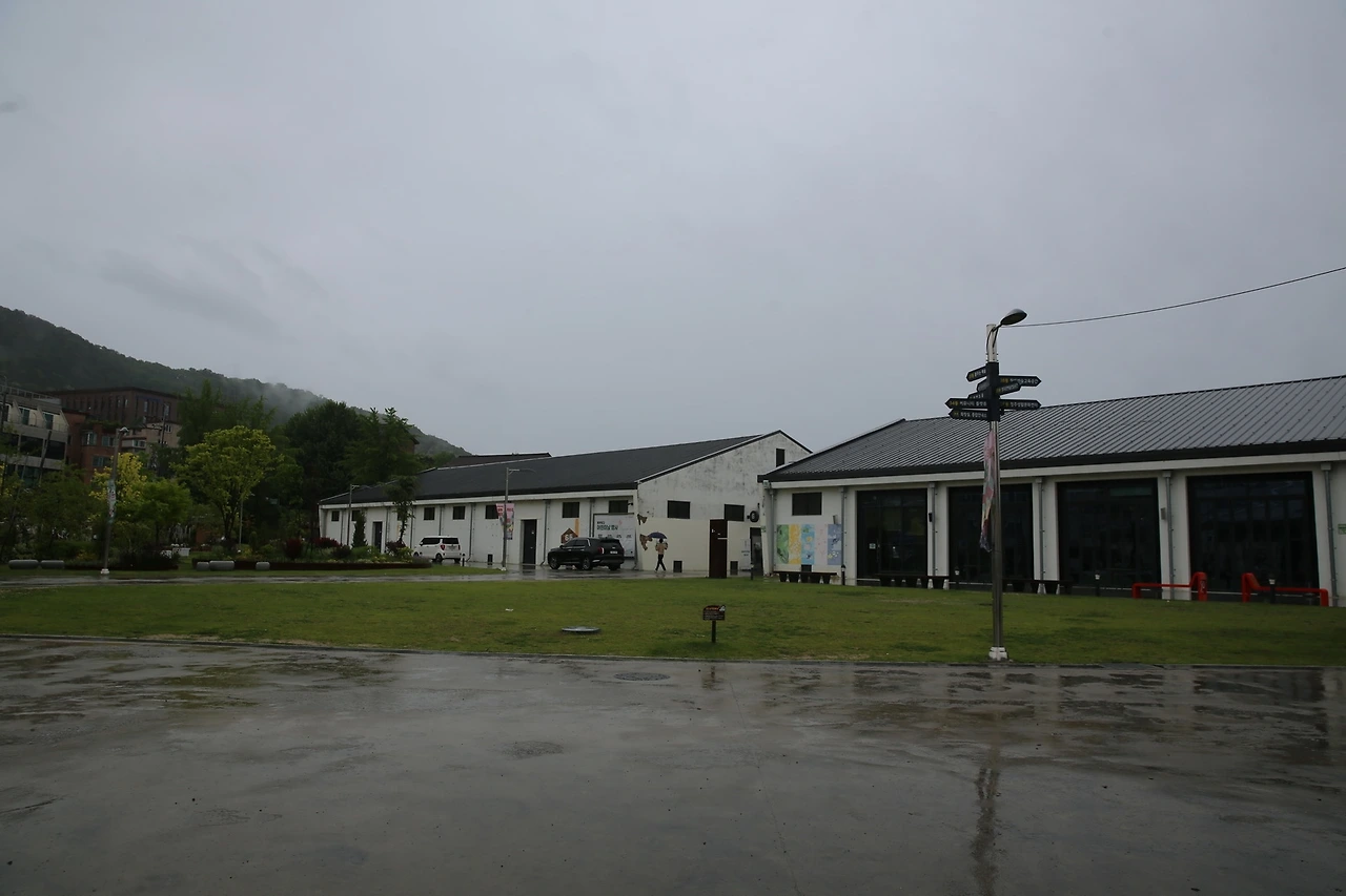 MG0A3110_новый размер.JPG