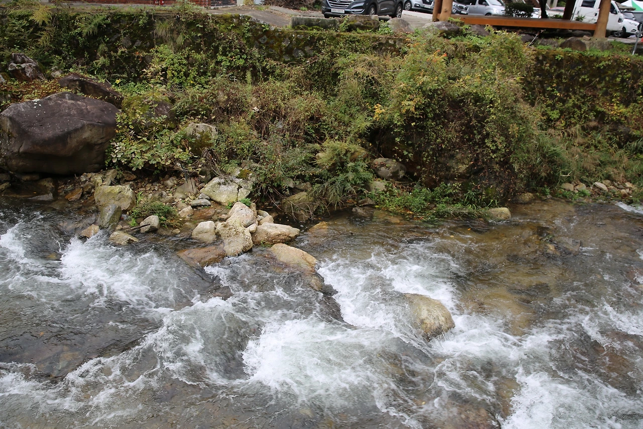 MG0A6291_новый размер.JPG