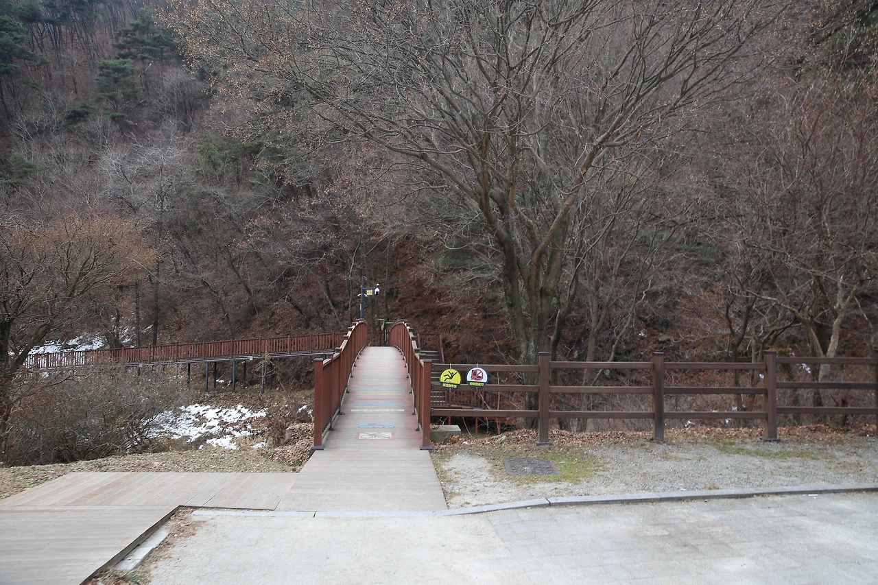 MG0A4972_новый размер.JPG