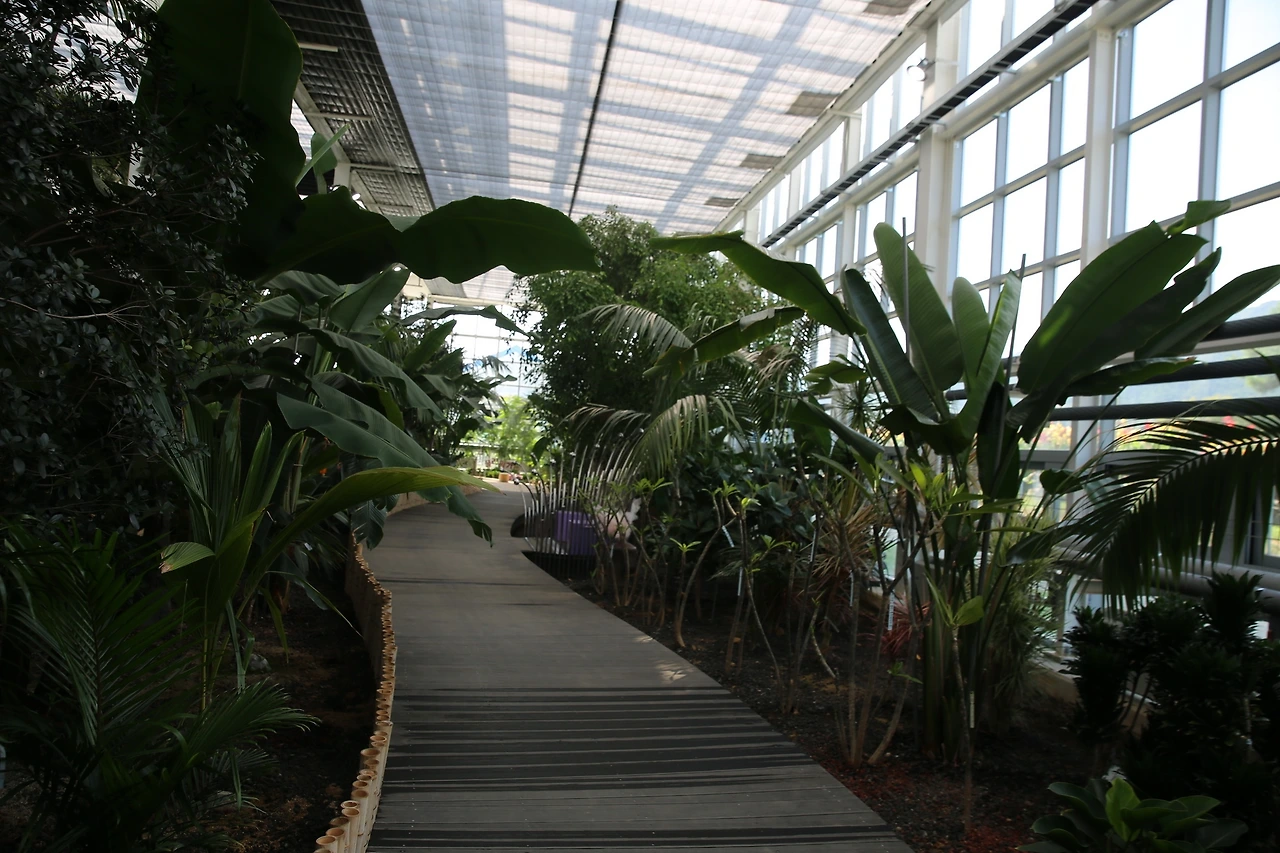 MG0A0443_новый размер.JPG