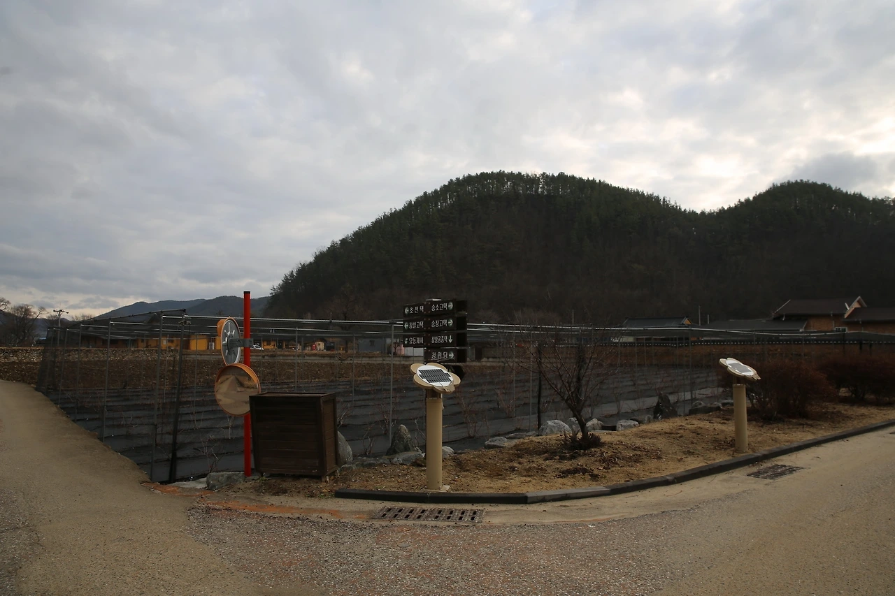 MG0A2479_новый размер.JPG