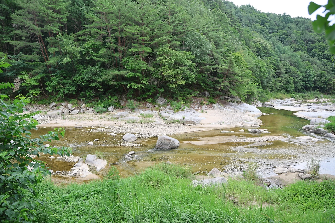 0R5A8604_новый размер.JPG