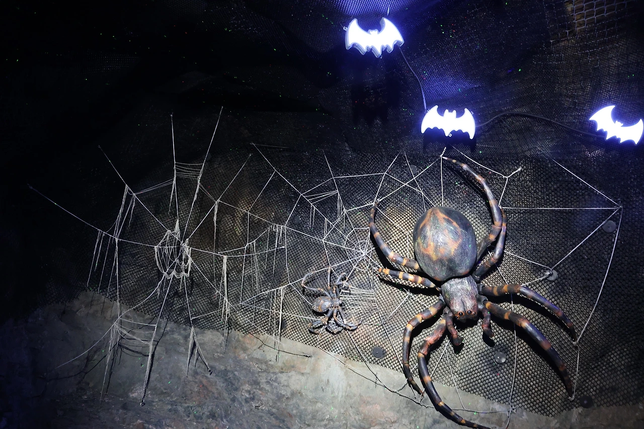 0R5A8013_новый размер.JPG