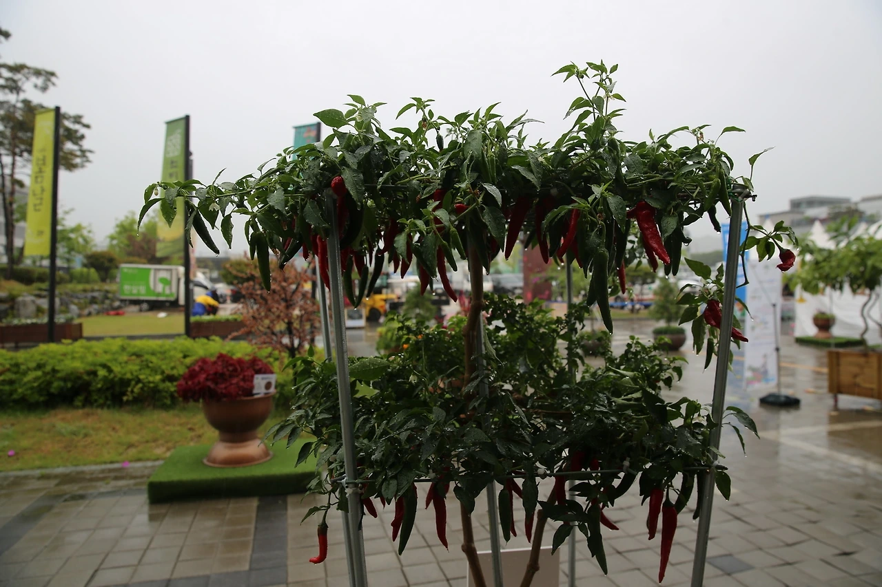 MG0A3176_новый размер.JPG