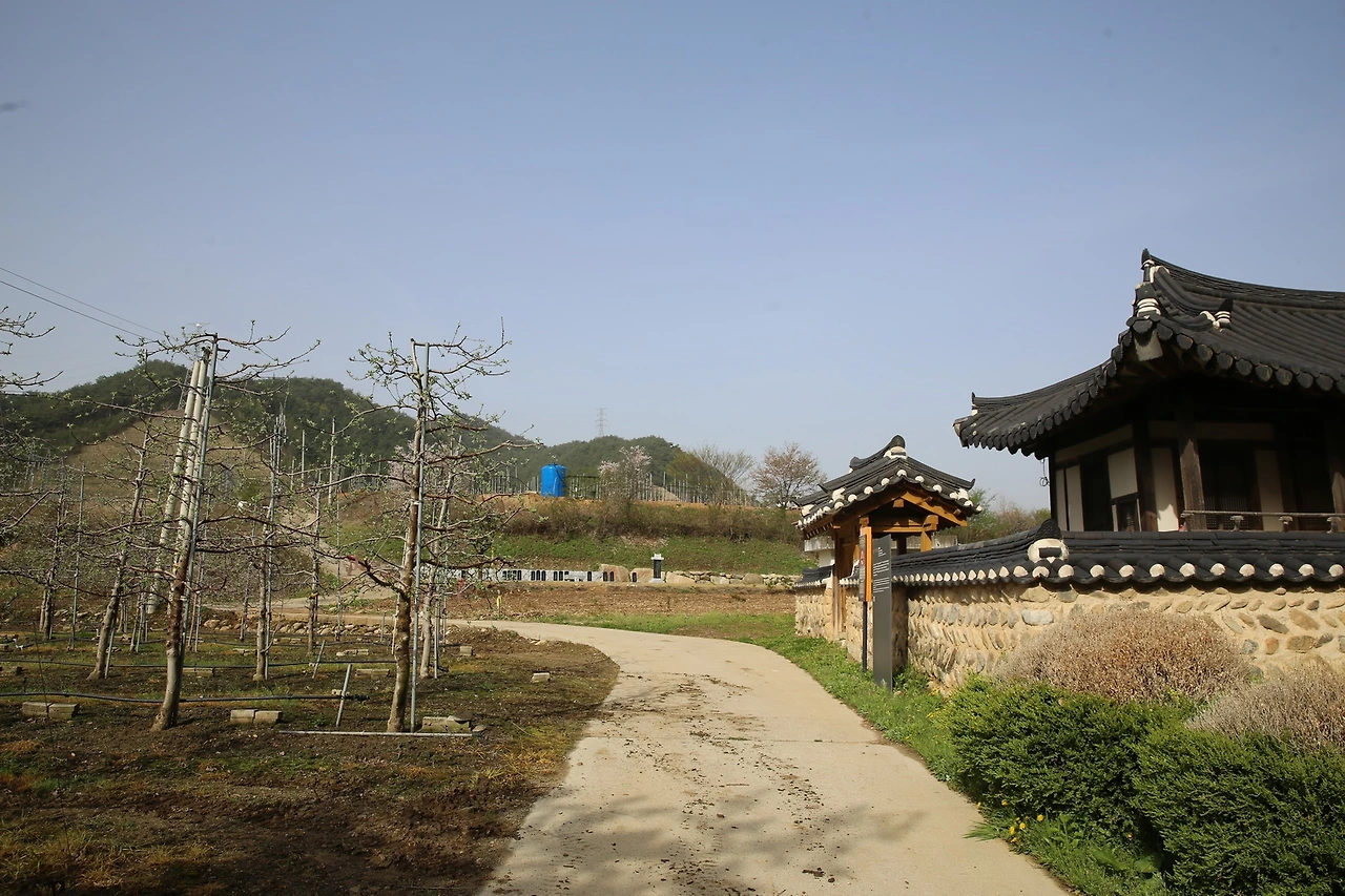 MG0A0015_новый размер.JPG