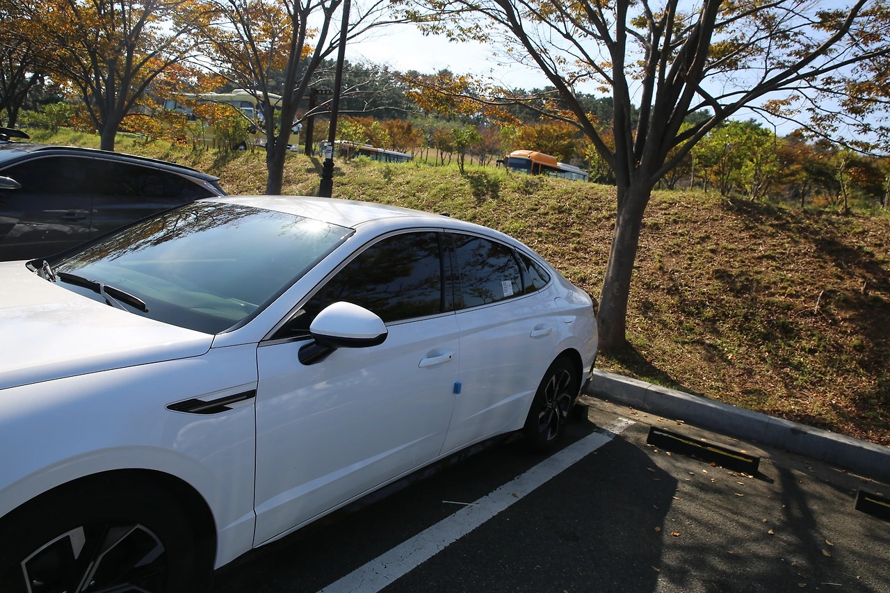 MG0A8160_новый размер.JPG