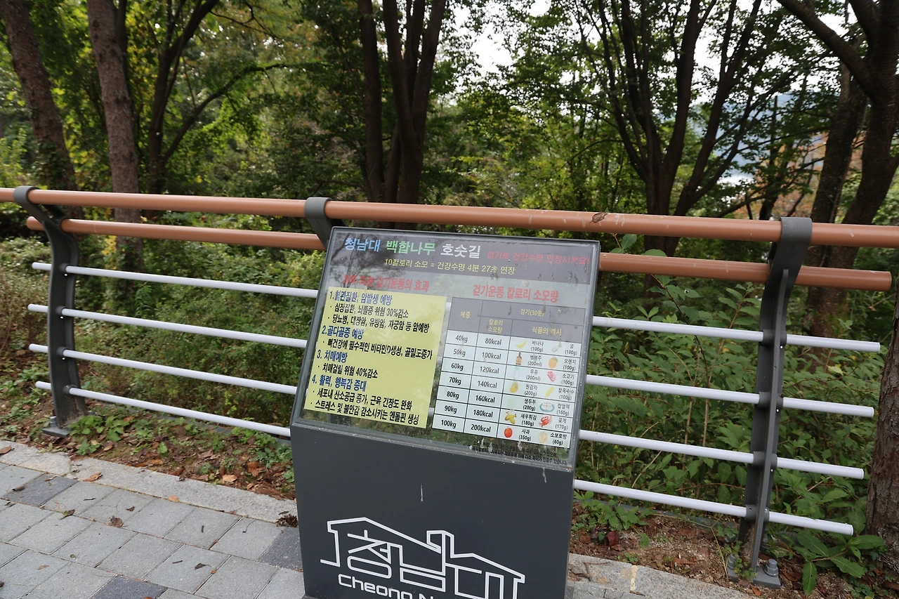 0R5A1306_новый размер.JPG