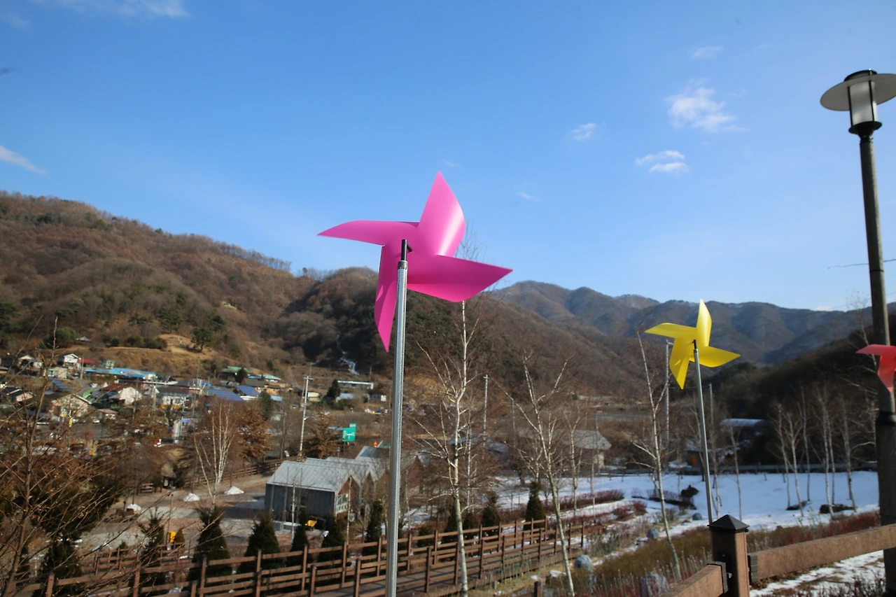 MG0A5604_новый размер.JPG