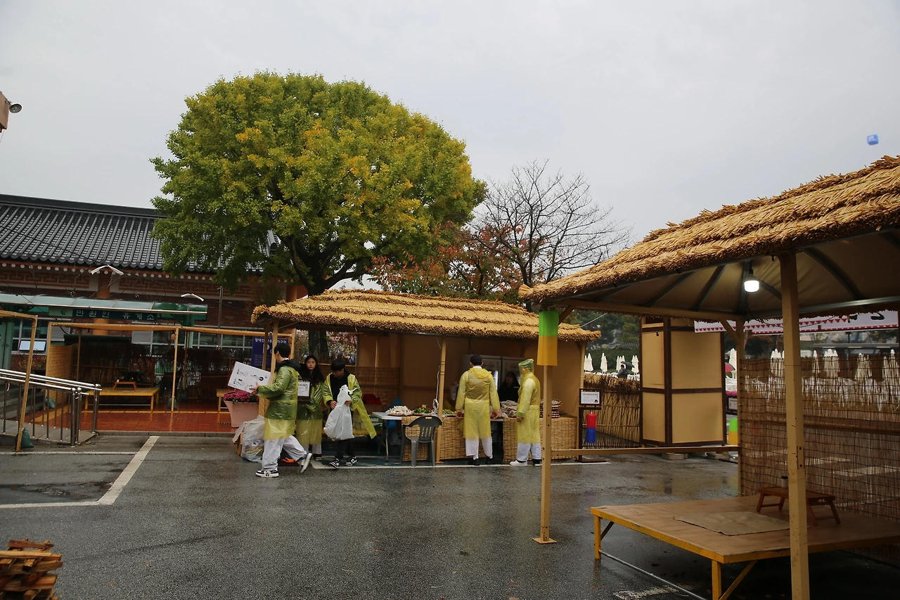 MG0A8628_новый размер.JPG