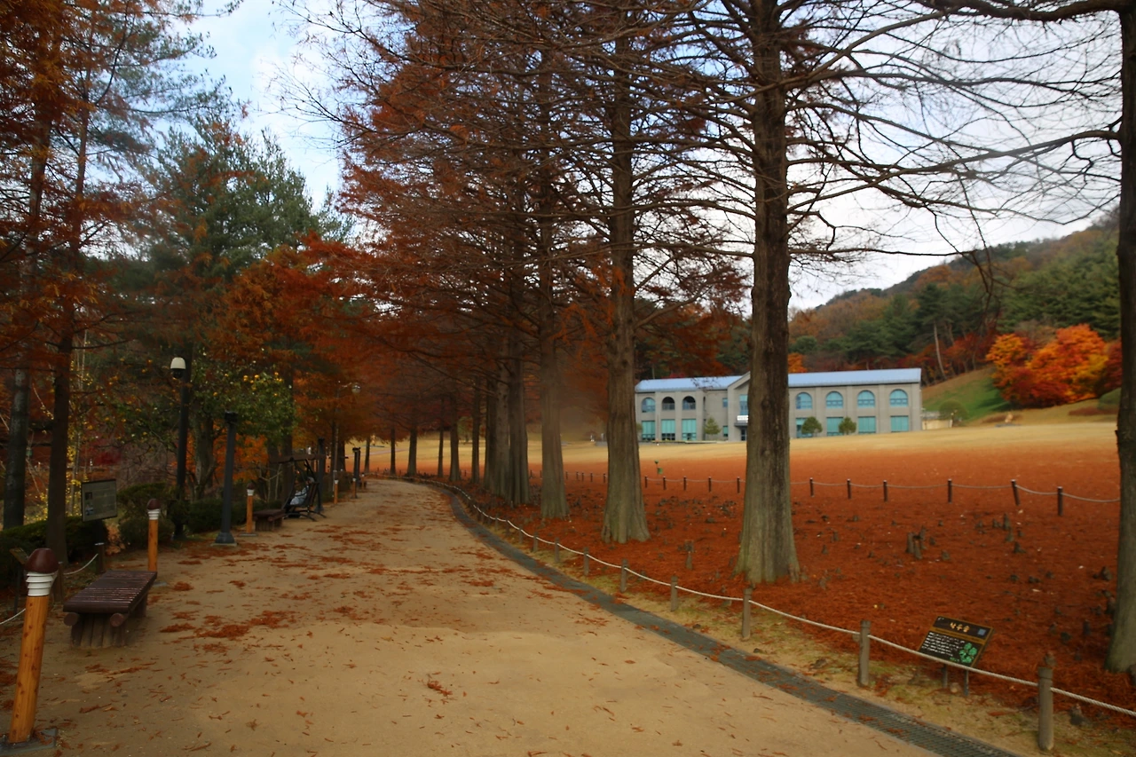 MG0A2116_новый размер.JPG