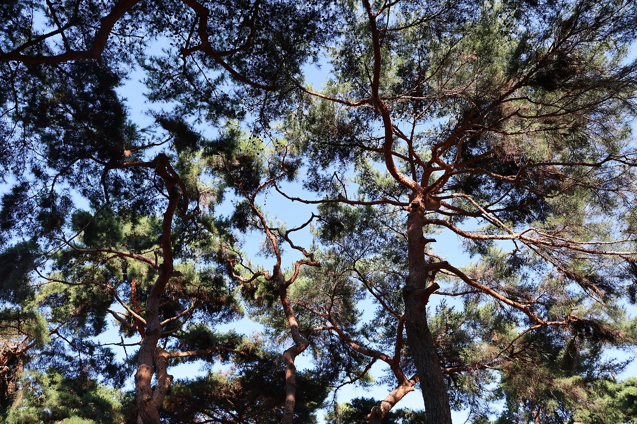 0R5A8098_новый размер.JPG