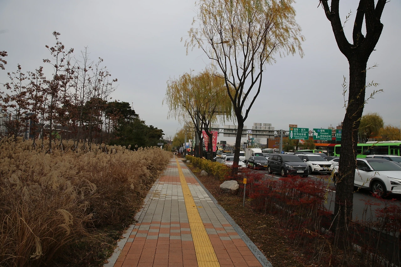 MG0A4461_новый размер.JPG