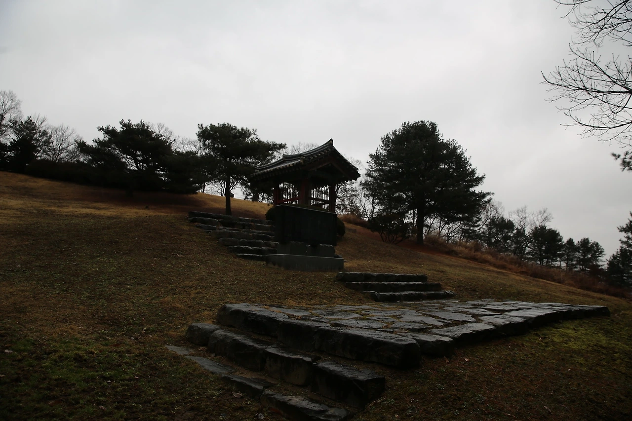 MG0A9886_новый размер.JPG