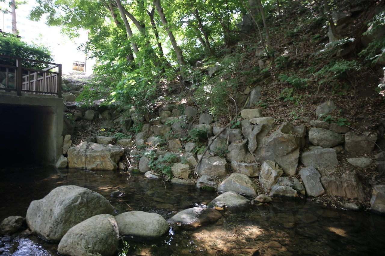 MG0A0076_новый размер.JPG