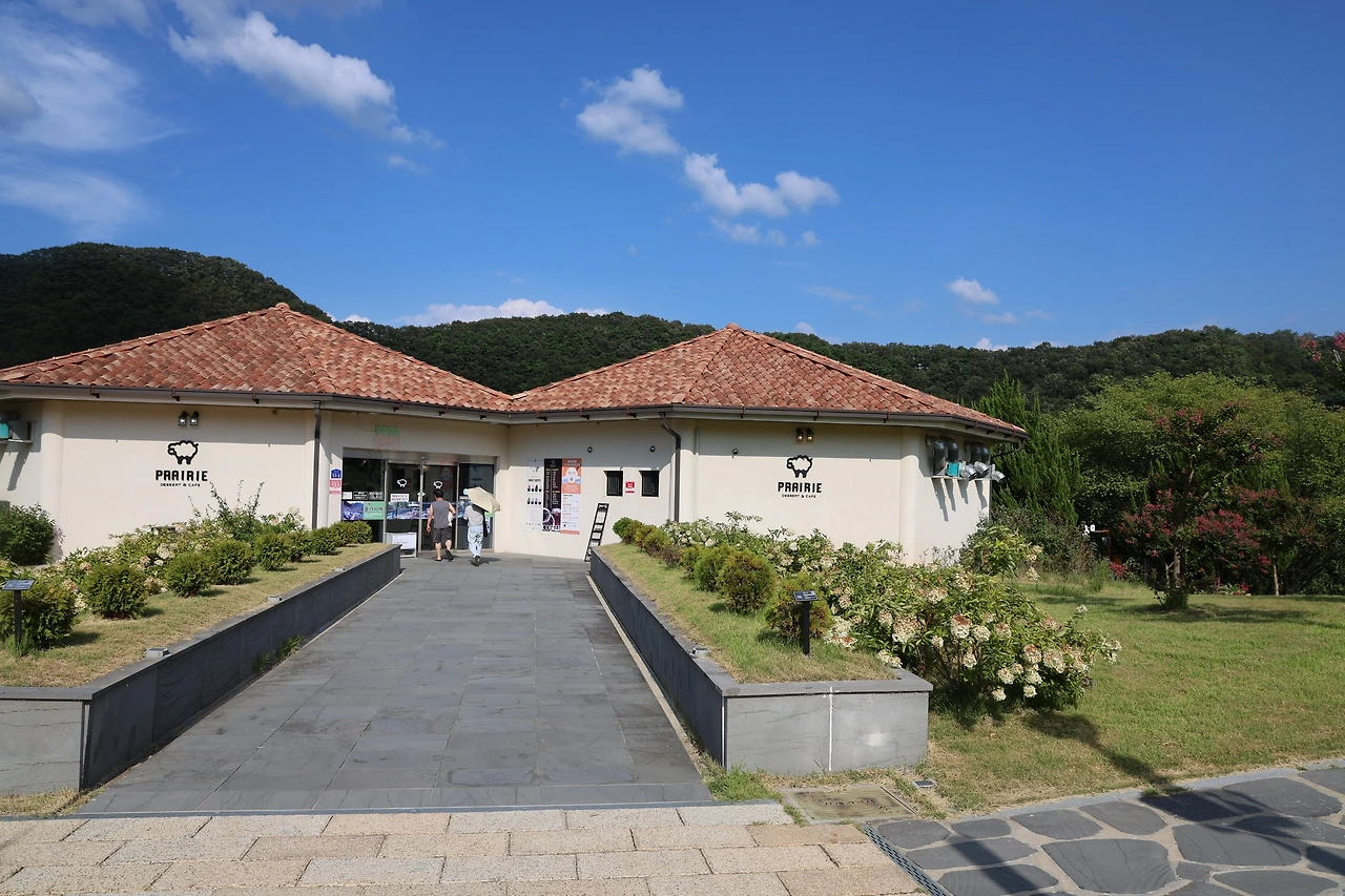 0R5A3841_новый размер.JPG