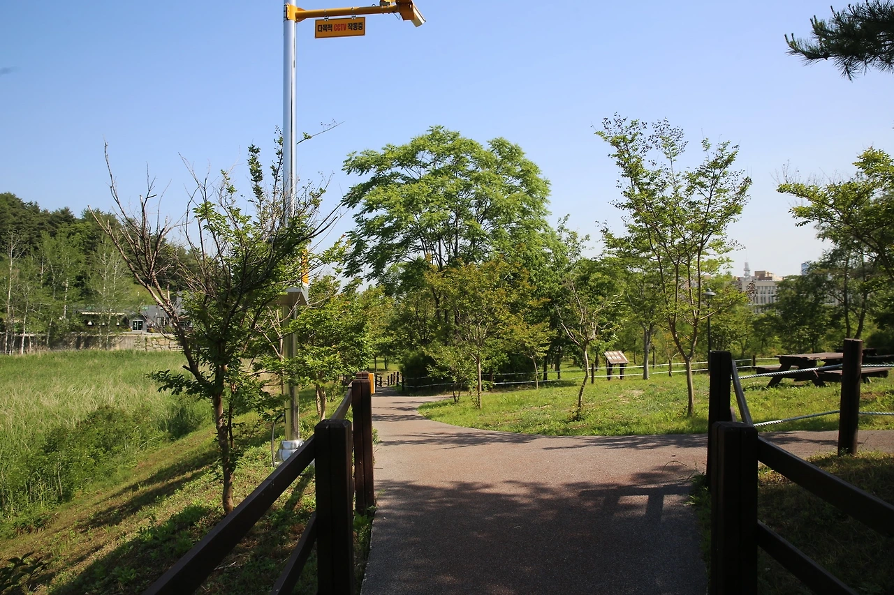 MG0A0058_новый размер.JPG