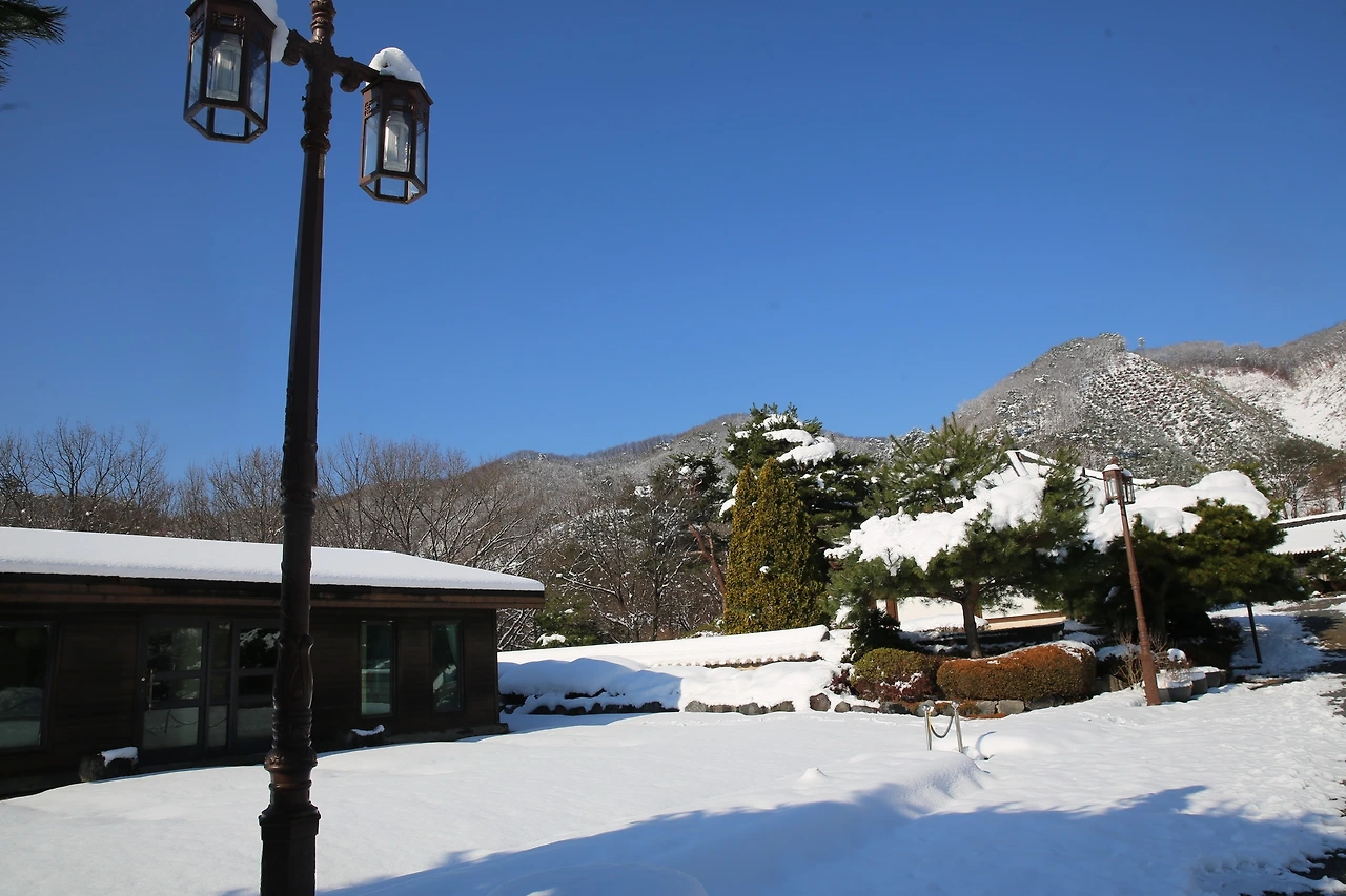 MG0A2335_новый размер.JPG