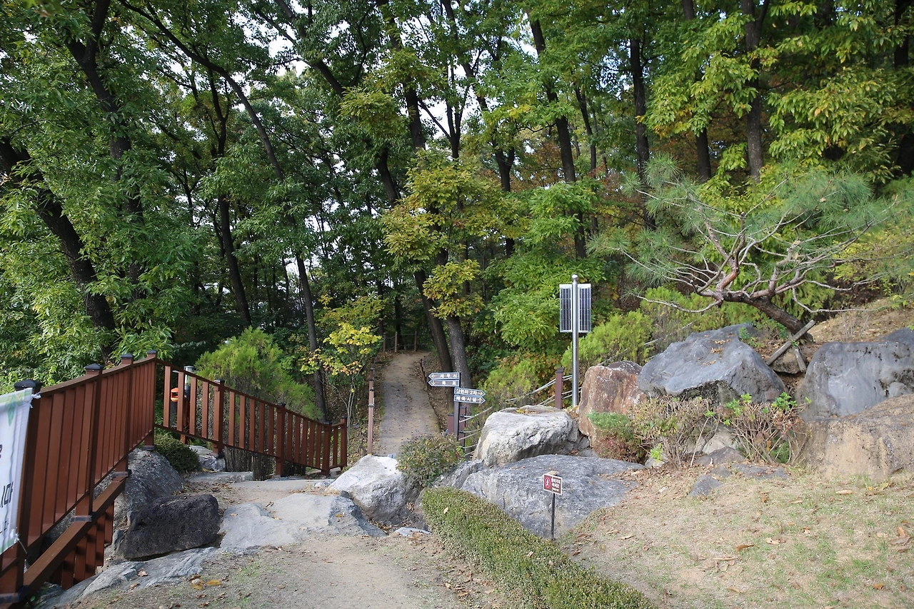 MG0A7634_новый размер.JPG